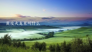 黄皮火龙果叫什么 黄皮火龙果叫什么