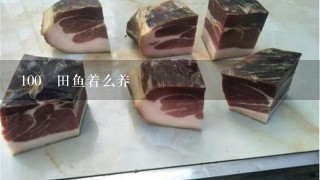100 田鱼着么养 100 田鱼着么养