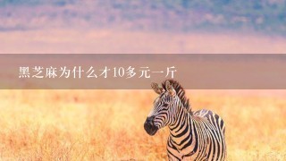黑芝麻为什么才10多元1斤 黑芝麻为什么才10多元1斤