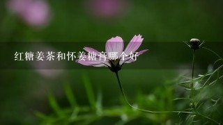 红糖姜茶和怀姜糖膏哪个好 红糖姜茶和怀姜糖膏哪个好