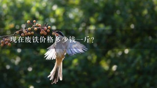 现在废铁价格多少钱1斤? 现在废铁价格多少钱1斤?
