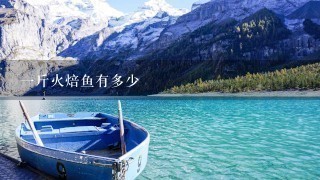 1斤火焙鱼有多少 1斤火焙鱼有多少