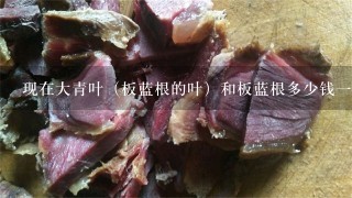 现在大青叶(板蓝根的叶)和板蓝根多少钱1斤? 现在大青叶(板蓝根的叶)和板蓝根多少钱1斤?