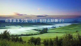 山茶油多少钱1斤?有什么好牌子? 山茶油多少钱1斤?有什么好牌子?