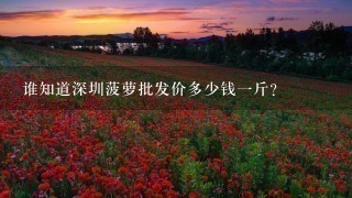 谁知道深圳菠萝批发价多少钱1斤? 谁知道深圳菠萝批发价多少钱1斤?