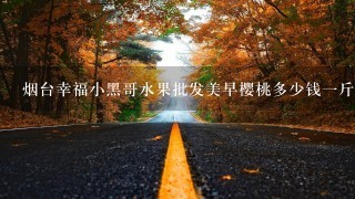 烟台幸福小黑哥水果批发美早樱桃多少钱1斤? 烟台幸福小黑哥水果批发美早樱桃多少钱1斤?