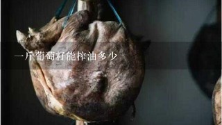 1斤葡萄籽能榨油多少 1斤葡萄籽能榨油多少
