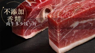 肉牛多少钱1斤 肉牛多少钱1斤