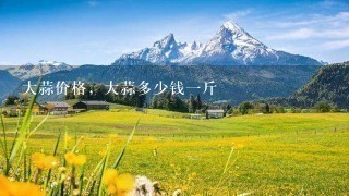大蒜价格,大蒜多少钱1斤 大蒜价格,大蒜多少钱1斤