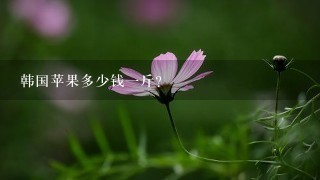 韩国苹果多少钱1斤? 韩国苹果多少钱1斤?