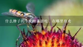 什么牌子的牛皮糖最好吃,在哪里有卖 什么牌子的牛皮糖最好吃,在哪里有卖