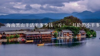 海南黑山羊活羊多少钱1斤?2月龄的小羊多少钱1斤?成羊几个月可以出栏?成羊大概多少斤? 海南黑山羊活羊多少钱1斤?2月龄的小羊多少钱1斤?成羊几个月可以出栏?成羊大概多少斤?