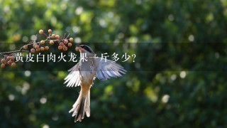 黄皮白肉火龙果1斤多少? 黄皮白肉火龙果1斤多少?