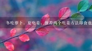 冬吃萝卜,夏吃姜,推荐两个吃姜方法即食也疗 冬吃萝卜,夏吃姜,推荐两个吃姜方法即食也疗