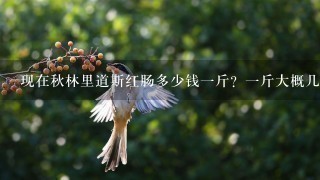 现在秋林里道斯红肠多少钱1斤?1斤大概几根? 现在秋林里道斯红肠多少钱1斤?1斤大概几根?