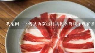 我想问1下魏县西南温村桃树多吗桃子现在多少钱1斤 我想问1下魏县西南温村桃树多吗桃子现在多少钱1斤