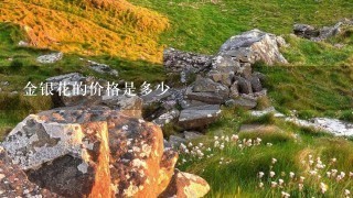 金银花的价格是多少 金银花的价格是多少