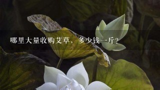 哪里大量收购艾草,多少钱1斤? 哪里大量收购艾草,多少钱1斤?