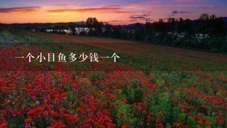 1个小目鱼多少钱1个 1个小目鱼多少钱1个