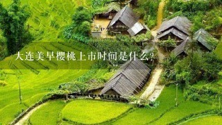 大连美早樱桃上市时间是什么? 大连美早樱桃上市时间是什么?