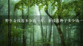 野生金线莲多少钱1斤,金线莲种子多少钱1斤 野生金线莲多少钱1斤,金线莲种子多少钱1斤
