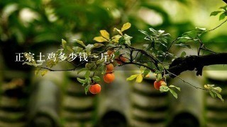 正宗土鸡多少钱1斤? 正宗土鸡多少钱1斤?