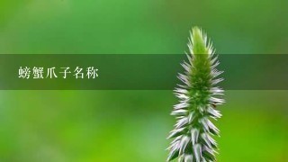 螃蟹爪子名称 螃蟹爪子名称