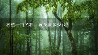 种植1亩冬荪,该投资多少钱? 种植1亩冬荪,该投资多少钱?