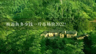 梭边鱼多少钱1斤市场价2022? 梭边鱼多少钱1斤市场价2022?