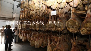 请问现在草鱼多少钱1斤呢? 请问现在草鱼多少钱1斤呢?