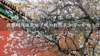 我想问问现在貉子绒的价格多少钱1斤有人收吗