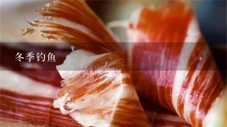 冬季钓鱼 冬季钓鱼