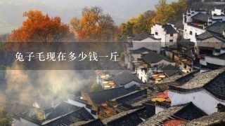 兔子毛现在多少钱1斤 兔子毛现在多少钱1斤
