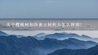美早樱桃树和莎蜜豆树秋天怎么辨别? 美早樱桃树和莎蜜豆树秋天怎么辨别?