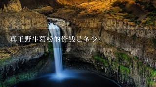 真正野生葛粉的价钱是多少? 真正野生葛粉的价钱是多少?