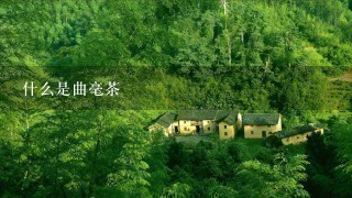 什么是曲毫茶 什么是曲毫茶