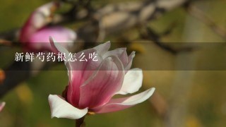 新鲜芍药根怎么吃 新鲜芍药根怎么吃