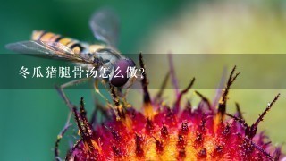 冬瓜猪腿骨汤怎么做? 冬瓜猪腿骨汤怎么做?