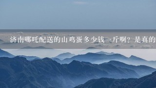 济南哪吒配送的山鸡蛋多少钱1斤啊?是真的吗?大神们帮帮忙 济南哪吒配送的山鸡蛋多少钱1斤啊?是真的吗?大神们帮帮忙