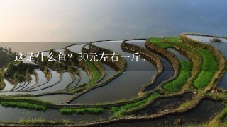 这是什么鱼?30元左右1斤。 这是什么鱼?30元左右1斤。