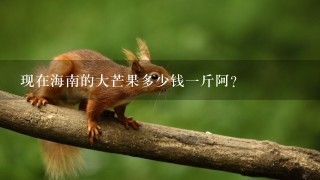 现在海南的大芒果多少钱1斤阿? 现在海南的大芒果多少钱1斤阿?