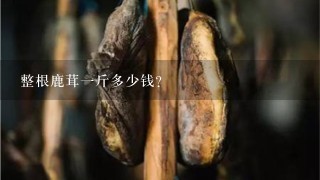 整根鹿茸1斤多少钱? 整根鹿茸1斤多少钱?
