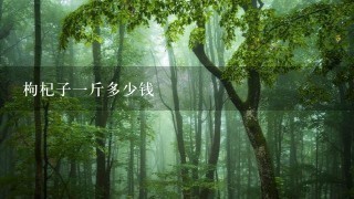 枸杞子1斤多少钱 枸杞子1斤多少钱