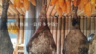 寄顺丰快递1公斤多少钱? 寄顺丰快递1公斤多少钱?