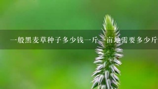 1般黑麦草种子多少钱1斤1亩地需要多少斤种子 1般黑麦草种子多少钱1斤1亩地需要多少斤种子