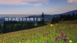 钳鱼和鲶鱼价格哪个高? 钳鱼和鲶鱼价格哪个高?
