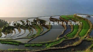 兰香子多少钱1斤,湖北荆州有卖的吗? 兰香子多少钱1斤,湖北荆州有卖的吗?