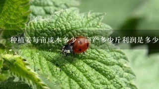 种植姜每亩成本多少,亩产多少斤利润是多少 种植姜每亩成本多少,亩产多少斤利润是多少