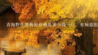 青海野生黑枸杞价格是多少钱1斤,有知道的吗 青海野生黑枸杞价格是多少钱1斤,有知道的吗