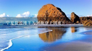 宁夏盐池滩羊为何能登上国宴? 宁夏盐池滩羊为何能登上国宴?